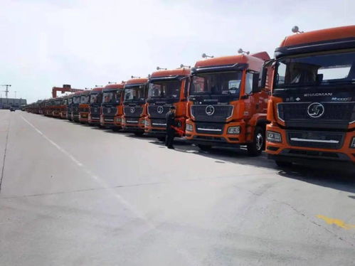 陜汽重卡 價值引領贏市場，品質營銷交付忙，助力國內貨物運輸代理蓬勃發展