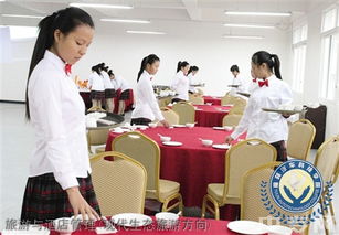 榆林旅游、酒店與職業教育深度解析 從能源化工到旅游管理，再到電商咨詢