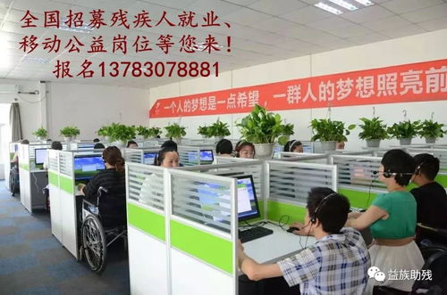 數字賦能，共創未來 電子商務為殘疾人群體帶來的新機遇與信息咨詢服務支持