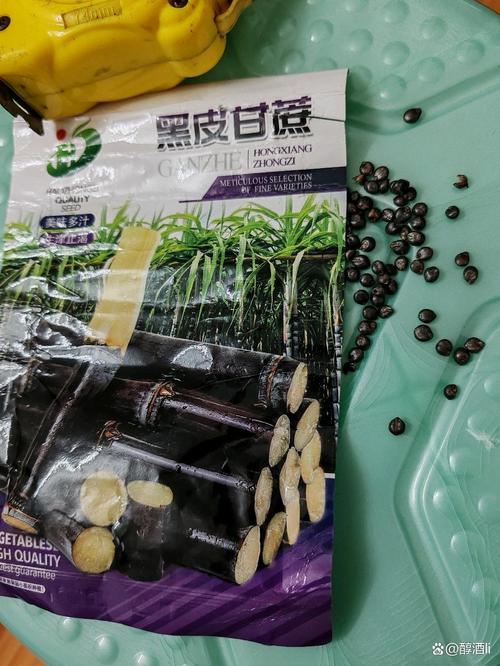 警惕假種子與假種苗 種植風險與應對策略